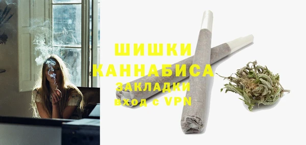 apvp Аркадак