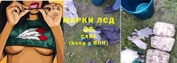 apvp Аркадак