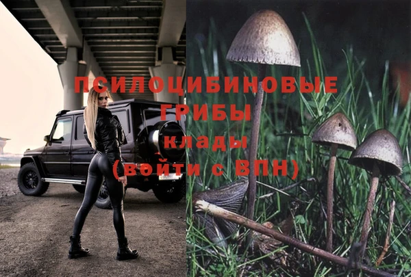гашиш Арсеньев