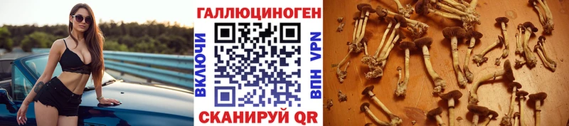 закладки  Приозерск  Галлюциногенные грибы ЛСД 