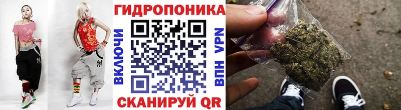 Конопля SATIVA & INDICA  как найти   Приозерск 